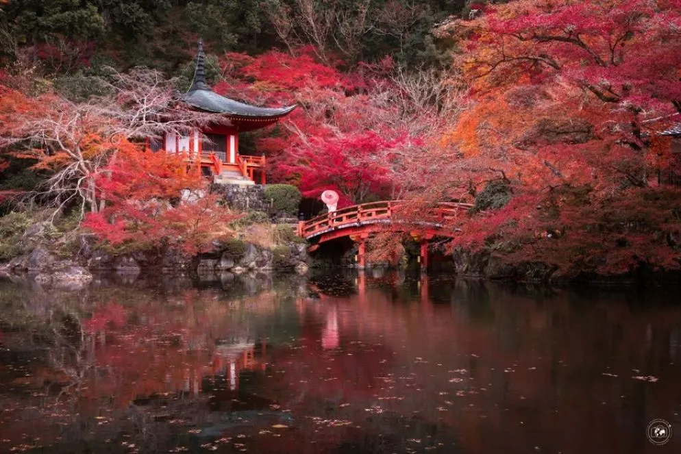 Kyoto e la bellezza infuocata dei Momiji