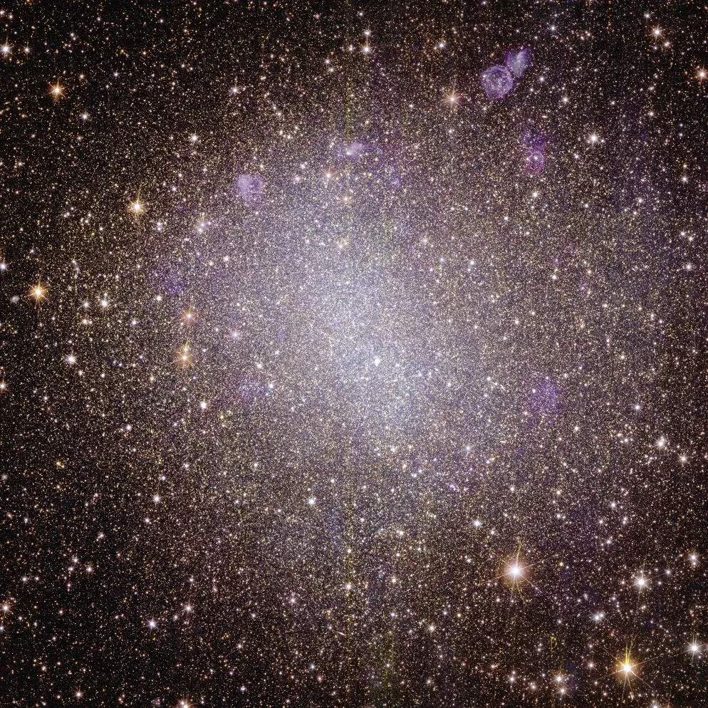 Galassia irregolare NGC 6822