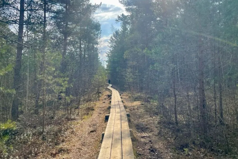 Palude di Pääsküla
