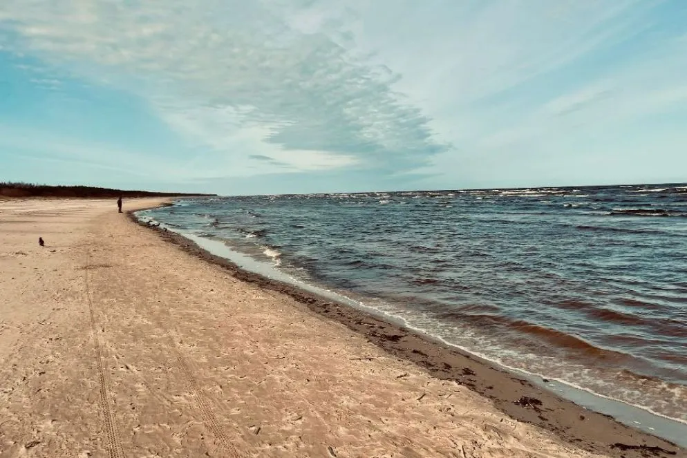 Sul Mar Baltico