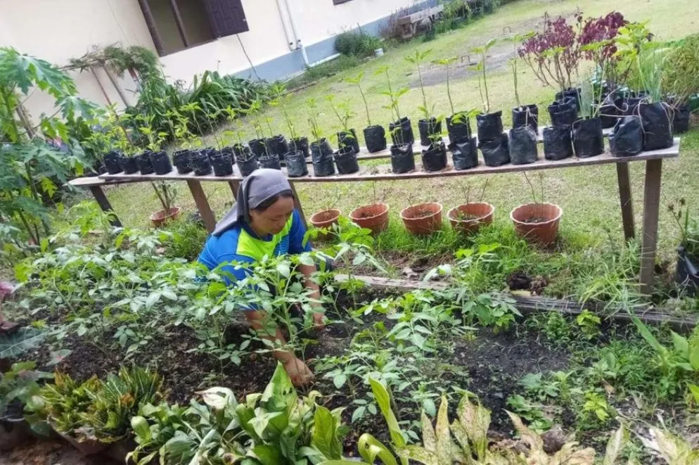5 Indonesia. In sintonia con la “Laudato Sì”, le Suore coltivano mais, riso, ortaggi e numerosi alberi da frutto, accompagnando nella formazione tecnica centinaia di ragazze, future imprenditrici agricole.