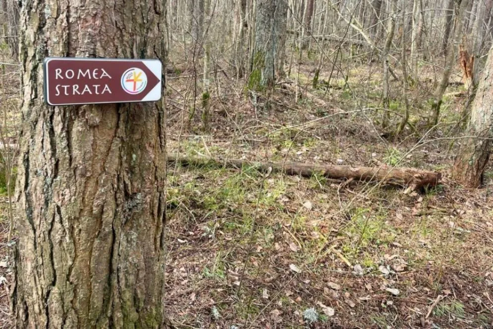 Ingresso nella foresta di Männiku