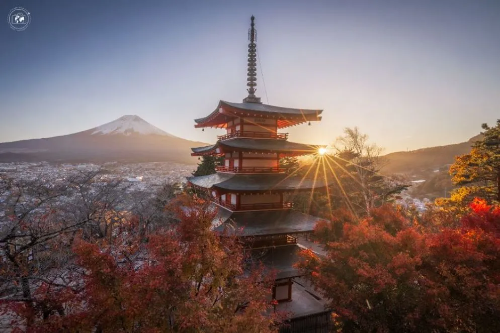 Un tempio buddhista circondato di momiji al tramonto di fronte al monte Fuji