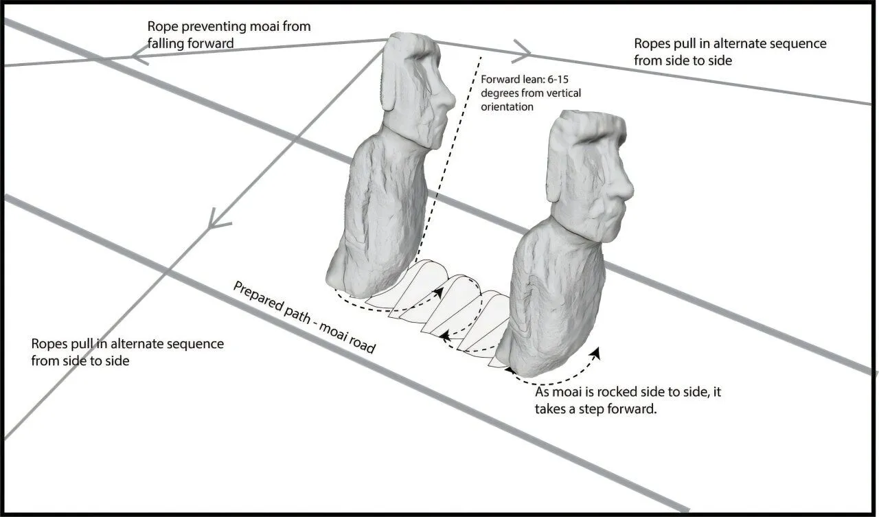 Questo diagramma illustra la tecnica del "camminare" con cui i moai venivano spostati lungo strade preparate attraverso tiri laterali alternati di corde, mantenendo un'inclinazione in avanti di 5°–15° rispetto alla verticale.