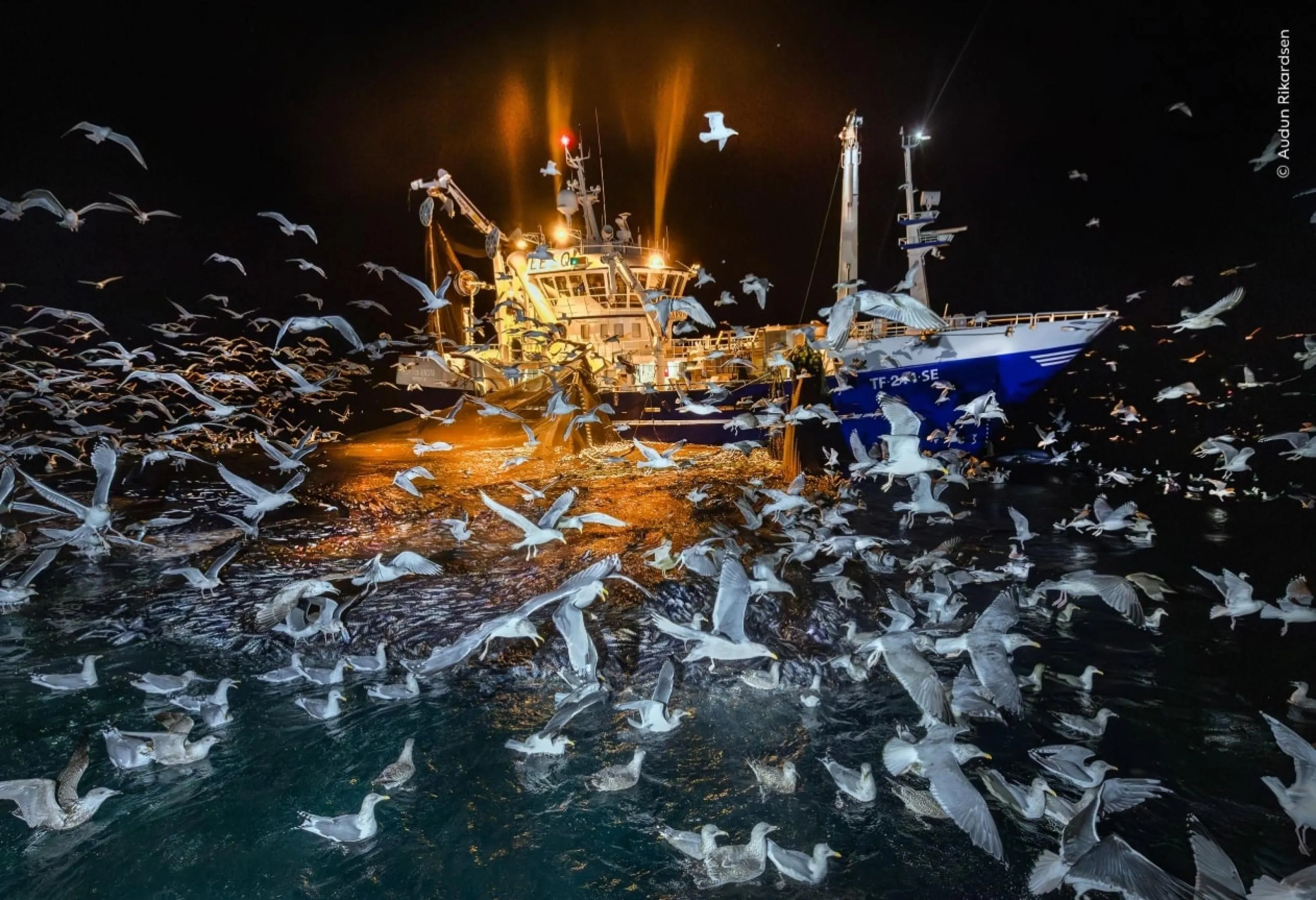 Una delle fotografie in concorso al Wildlife Photographer of the Year 2025 organizzato dal Natural History Museum di Londra, 15 ottobre / Ufficio stampa - Ansa