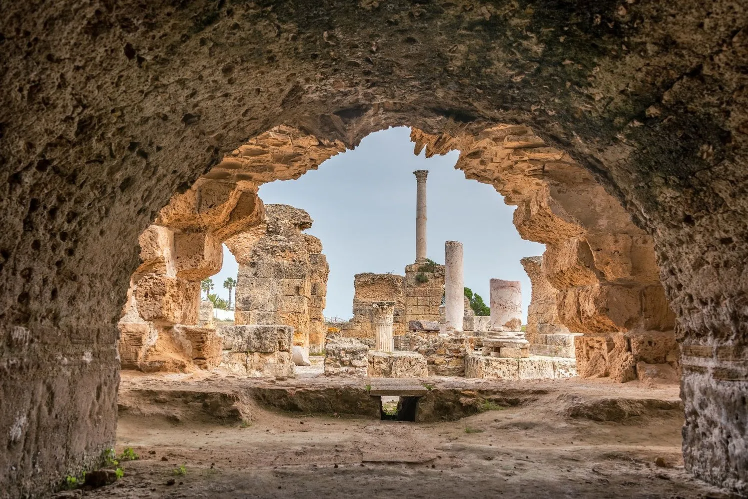 Best in travel 2026, Lonely Planet: nell'antica città di Cartagine, Tunisia © Jess Kraft_Shutterstock