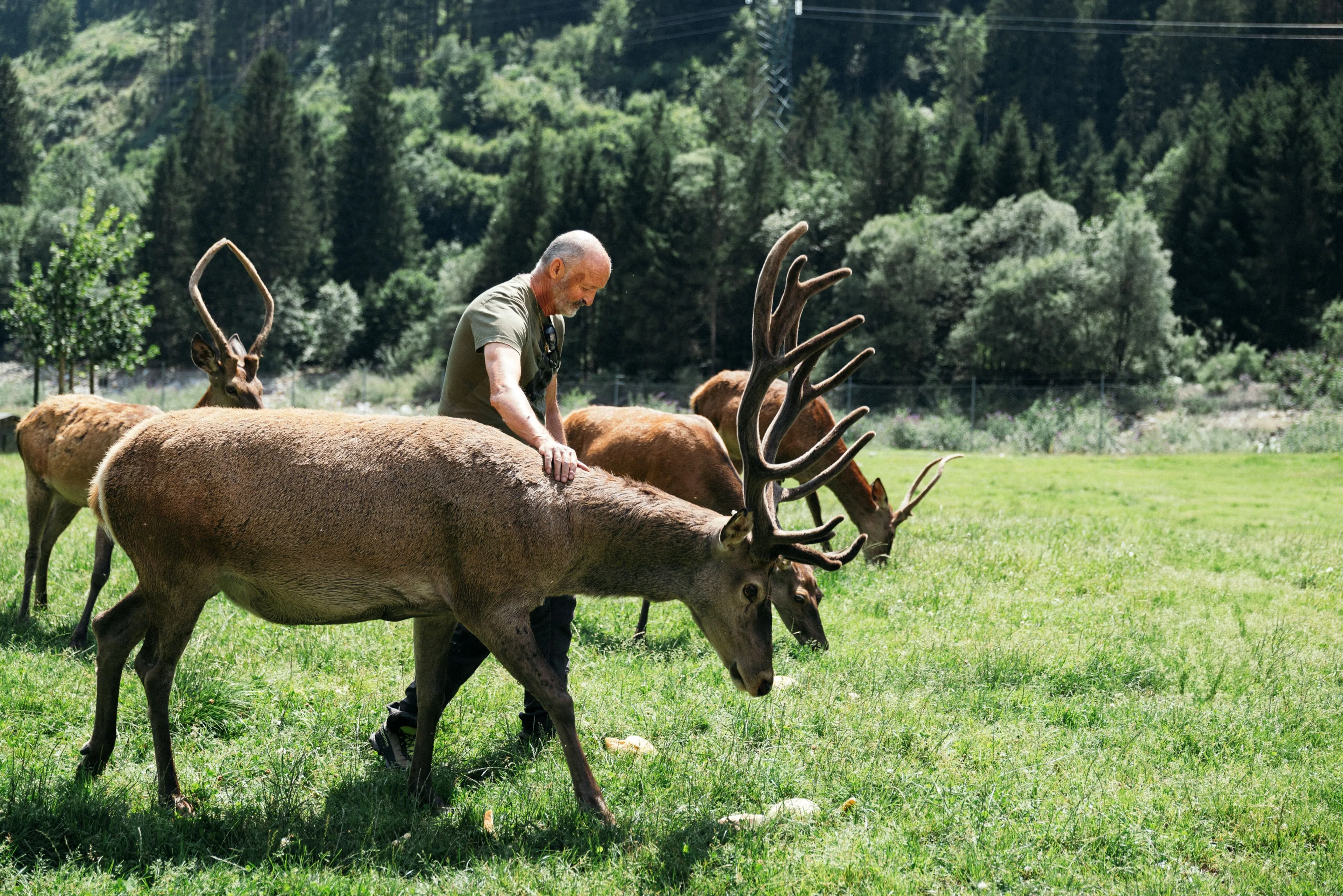 Uno scatto di Roselena Ramistella per "Trentino Unexpected" 