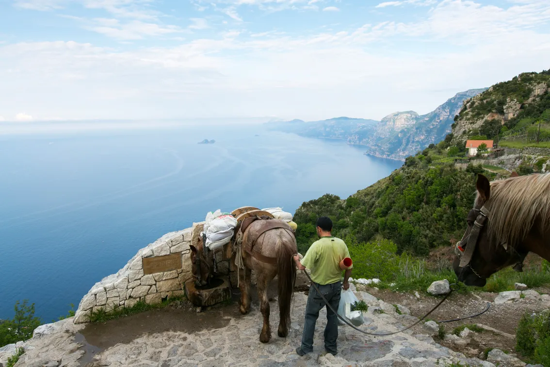 Sul Sentiero degli Dei, percorso trekking della Costiera Amalfitana / Massimiliano Rella