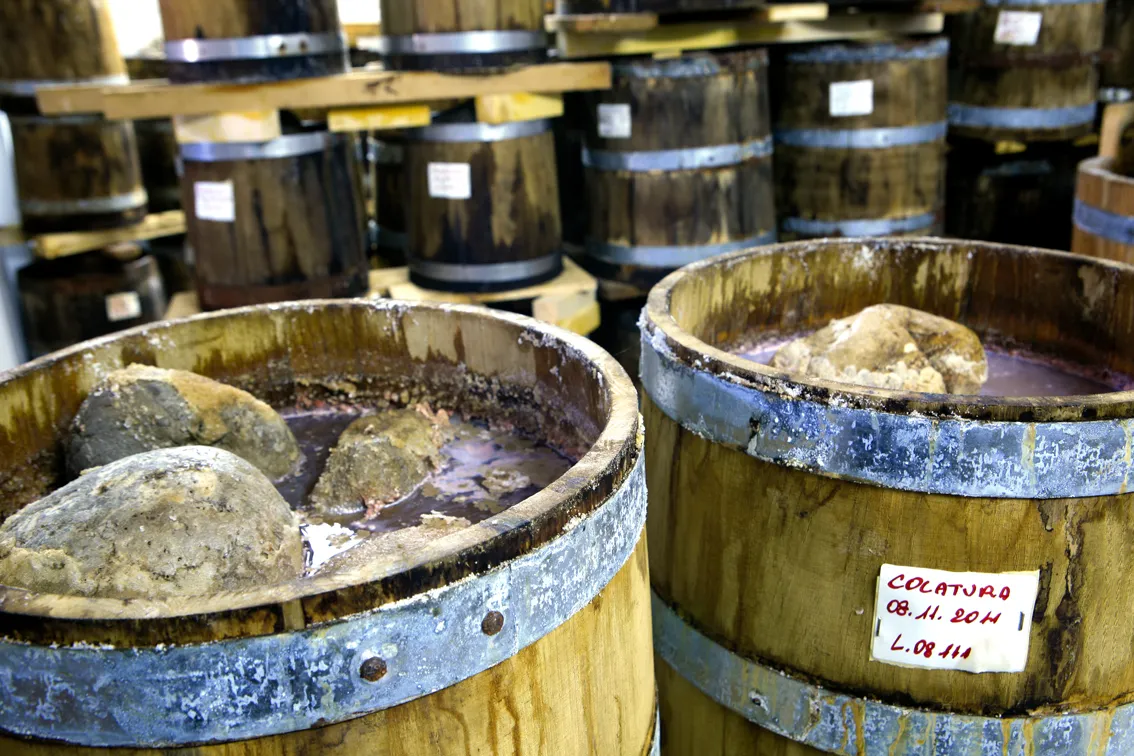 Colatura di Alici. I “terzigni” piccole botti in rovere piene di alici sotto pressatura. Azienda Nettuno di Cetara (Salerno) / Massimiliano Rella