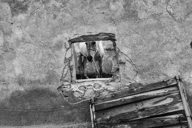 Under the Sand / Courtesy © Zid ben Romdhane - Magnum Photos