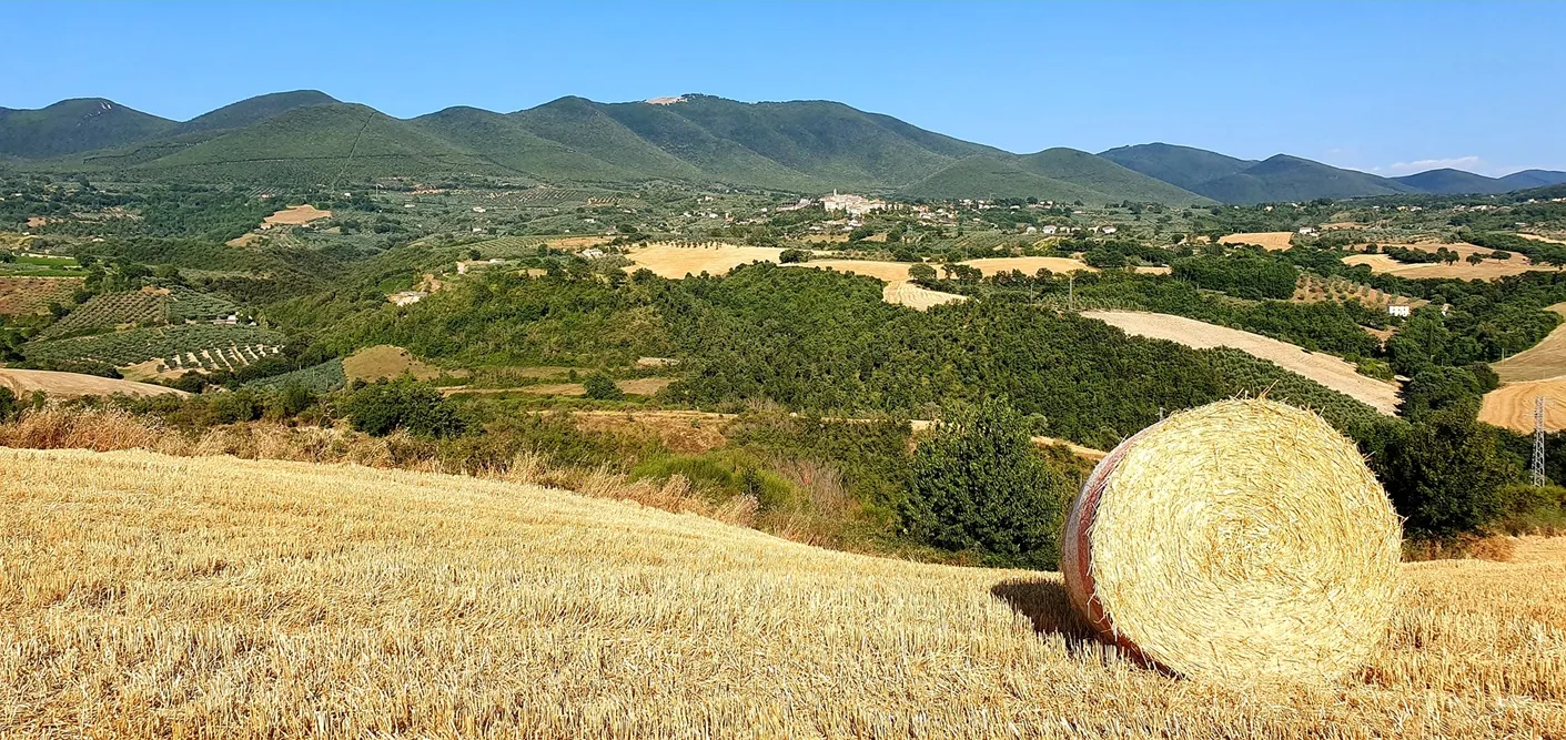 Cammino dei Borghi Silenti, Poggi di Montecchio / foto Marco Fioroni