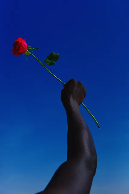 Guns or Roses, 2021 / Courtesy © Mous Lamrabat and Loft Art Galler