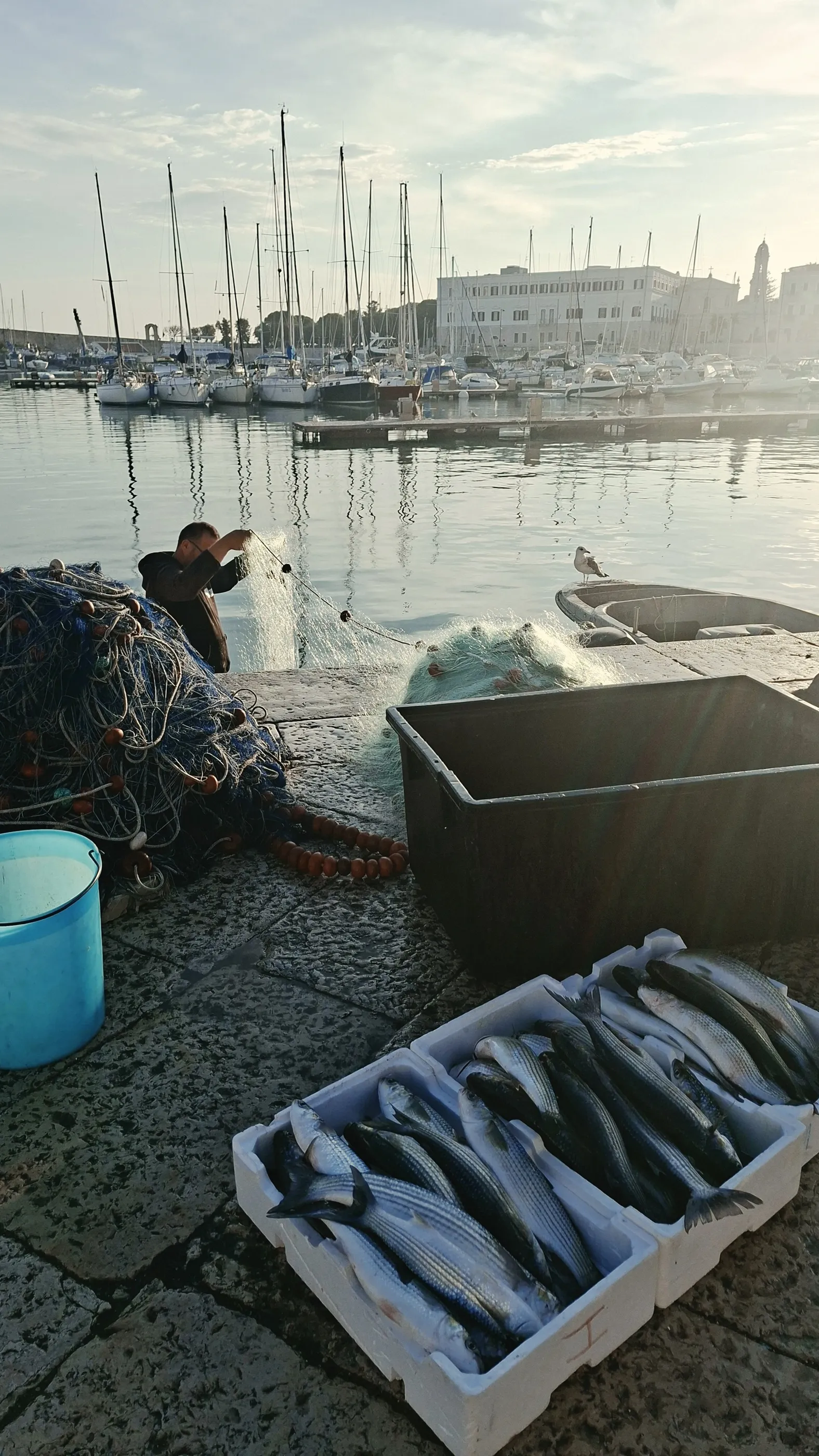 All'alba la banchina si riempie dei pescatori che sistemano le reti e vendono il pesce / G.Matarazzo