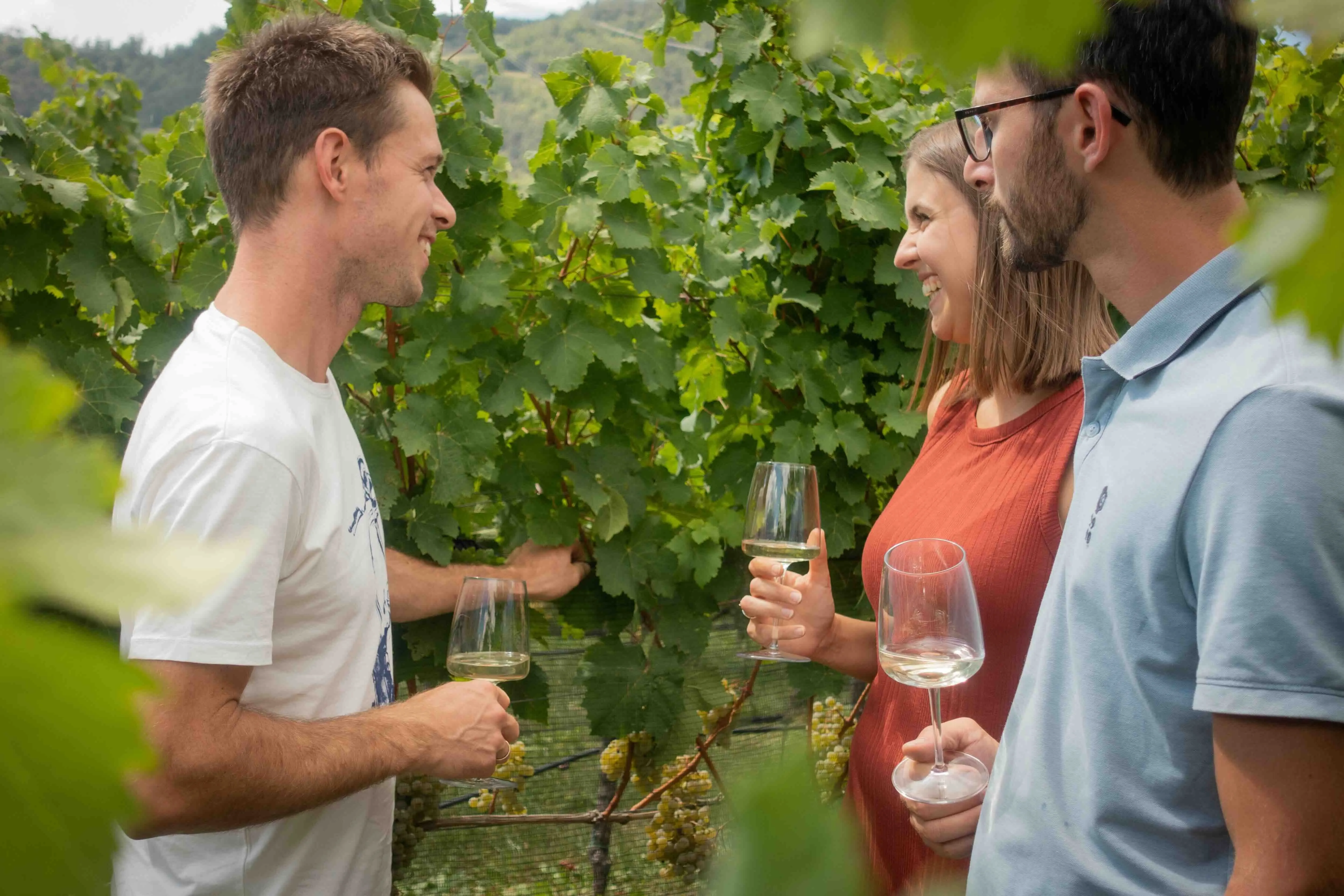 Una visita nei vigneti / Ufficio stampa Gallo Rosso