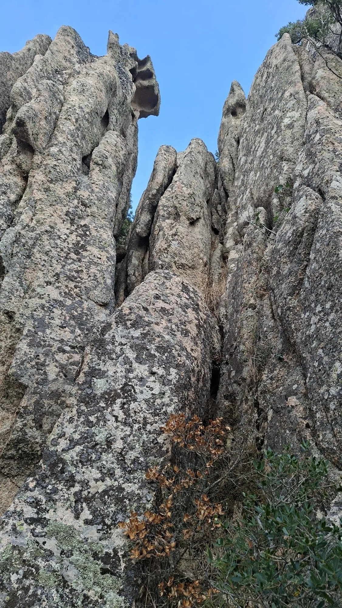 I caratteristici tafoni di granito disseminati nel territorio di Luogosanto / G.Matarazzo