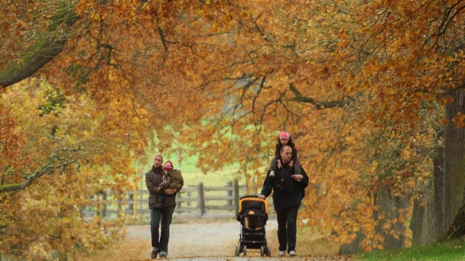 Amoris laetitia, le attese dei divorziati