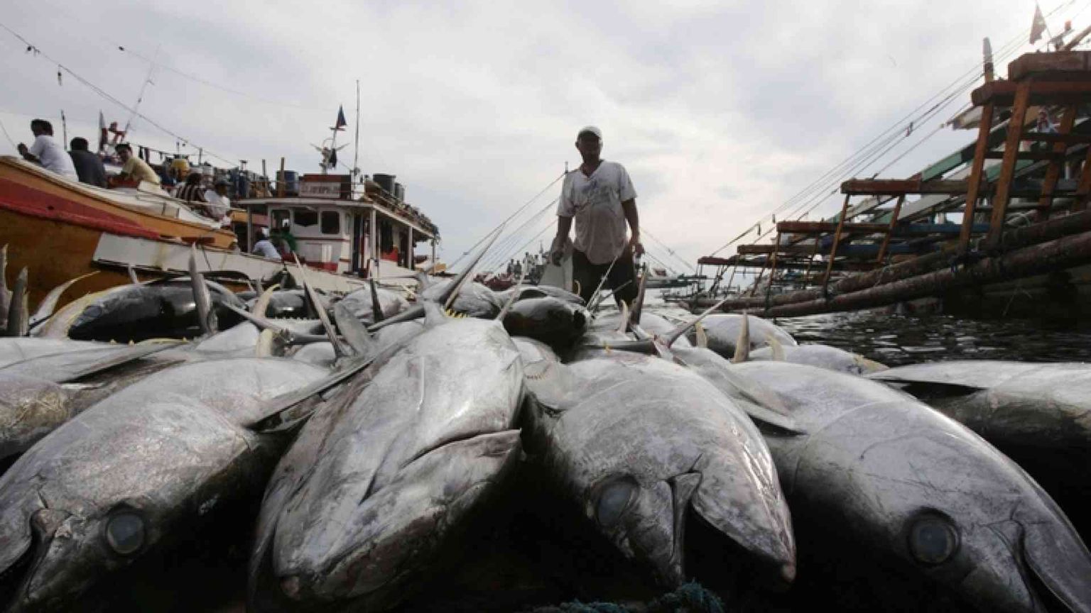 Thailandia, pescatori e ambiente sfruttati