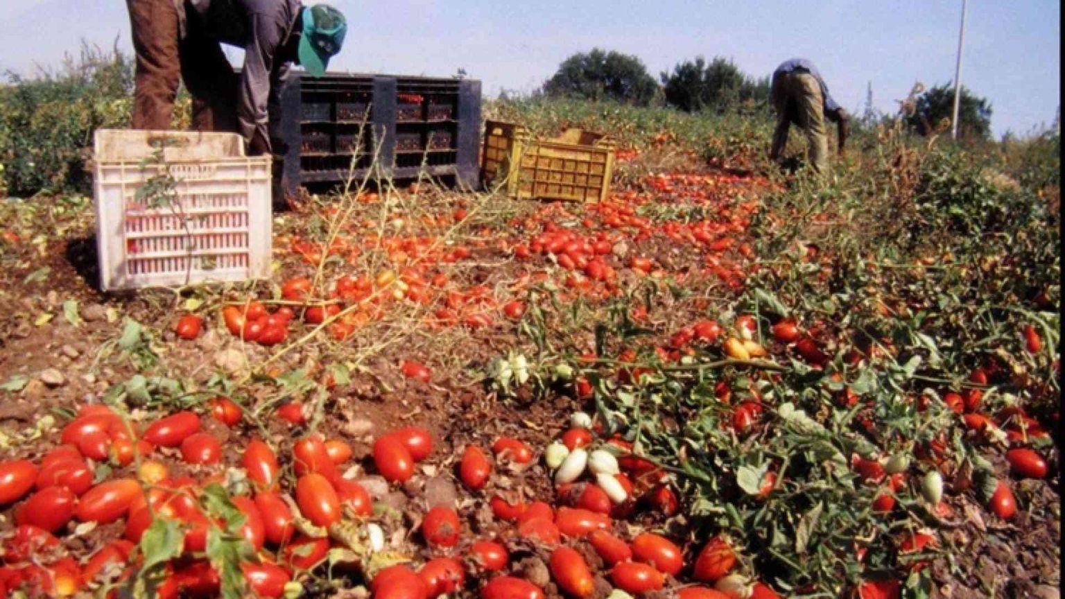 Imprese nella «sfida» dei diritti umani