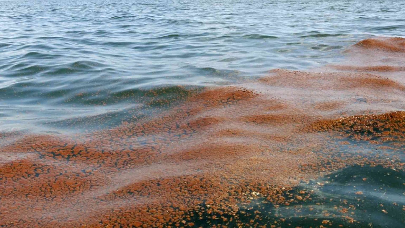 Depuratori, fogne e discariche  Il conto salato delle Regioni