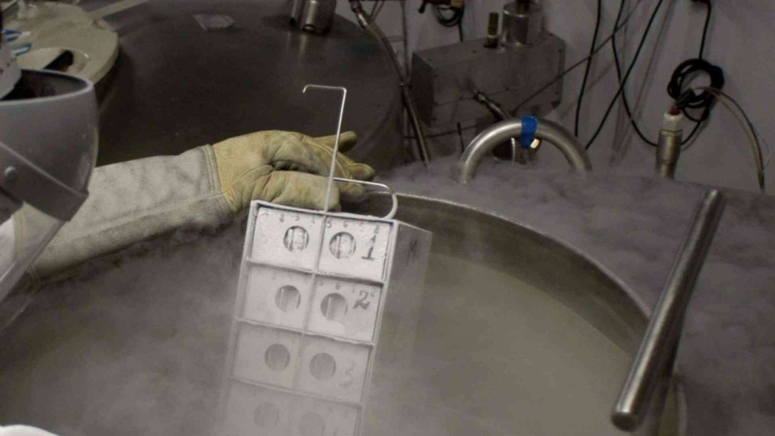 Caso Antinori e quei sei embrioni sequestrati