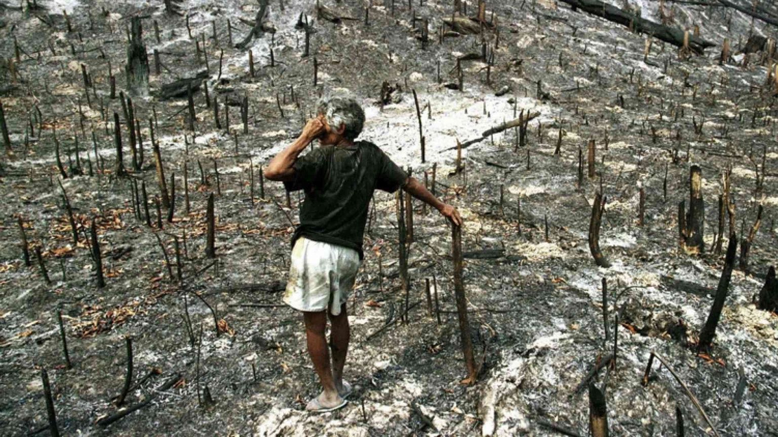 Ambiente, 1.746 guerre «invisibili»