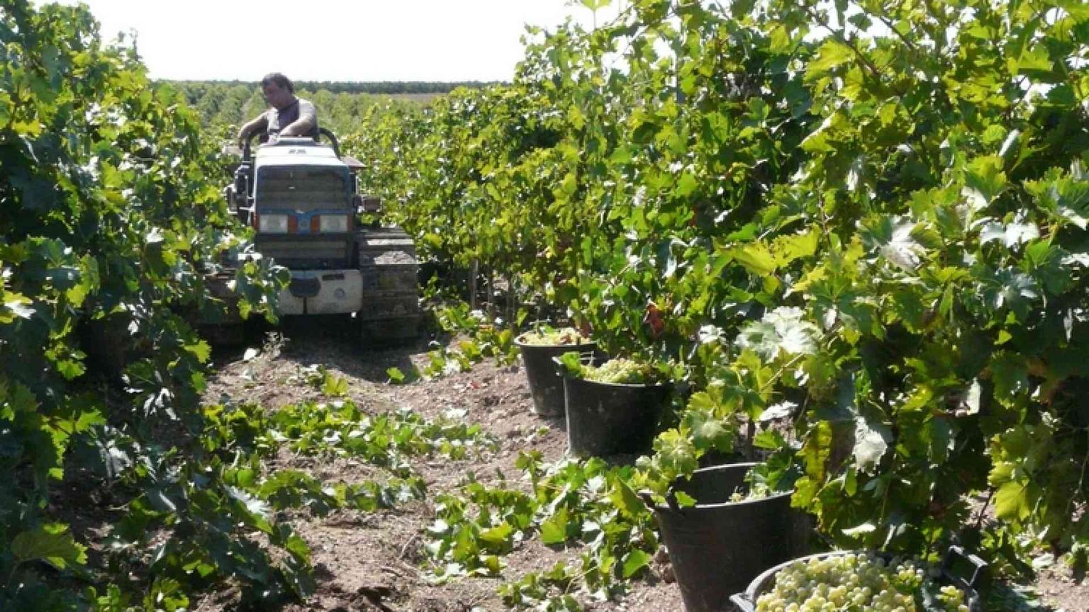 Corleone non merita quell'inchino a Riina