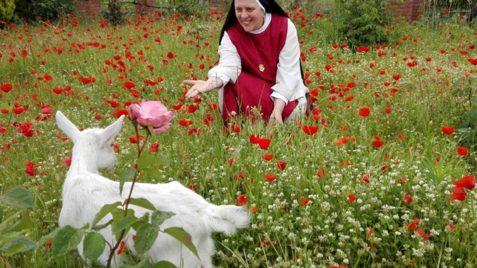 Sull'altare quella luce che dà un senso della vita buono