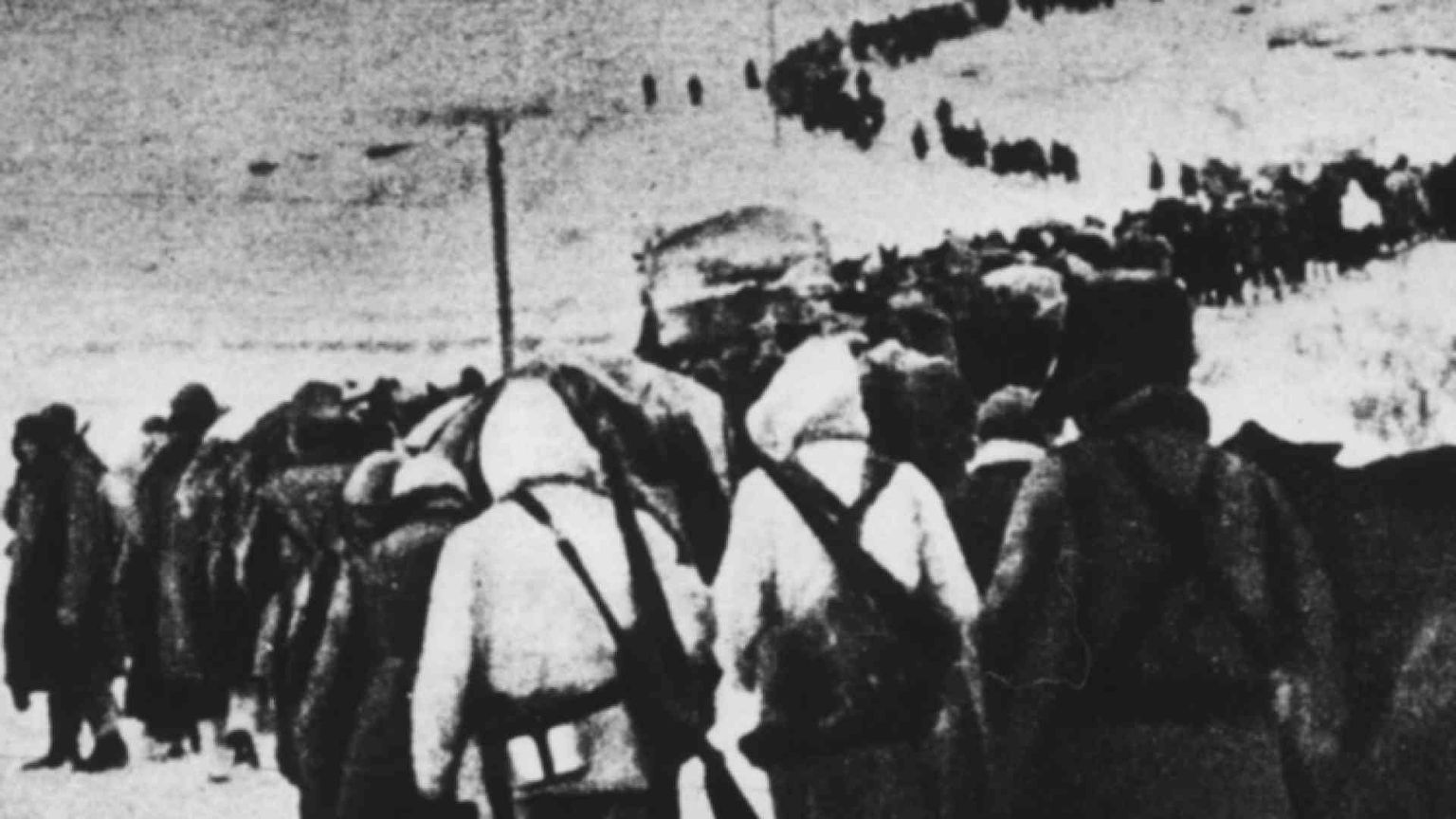 I resti di un soldato ignoto in Russia Una piastrina, 21 anni e nulla più