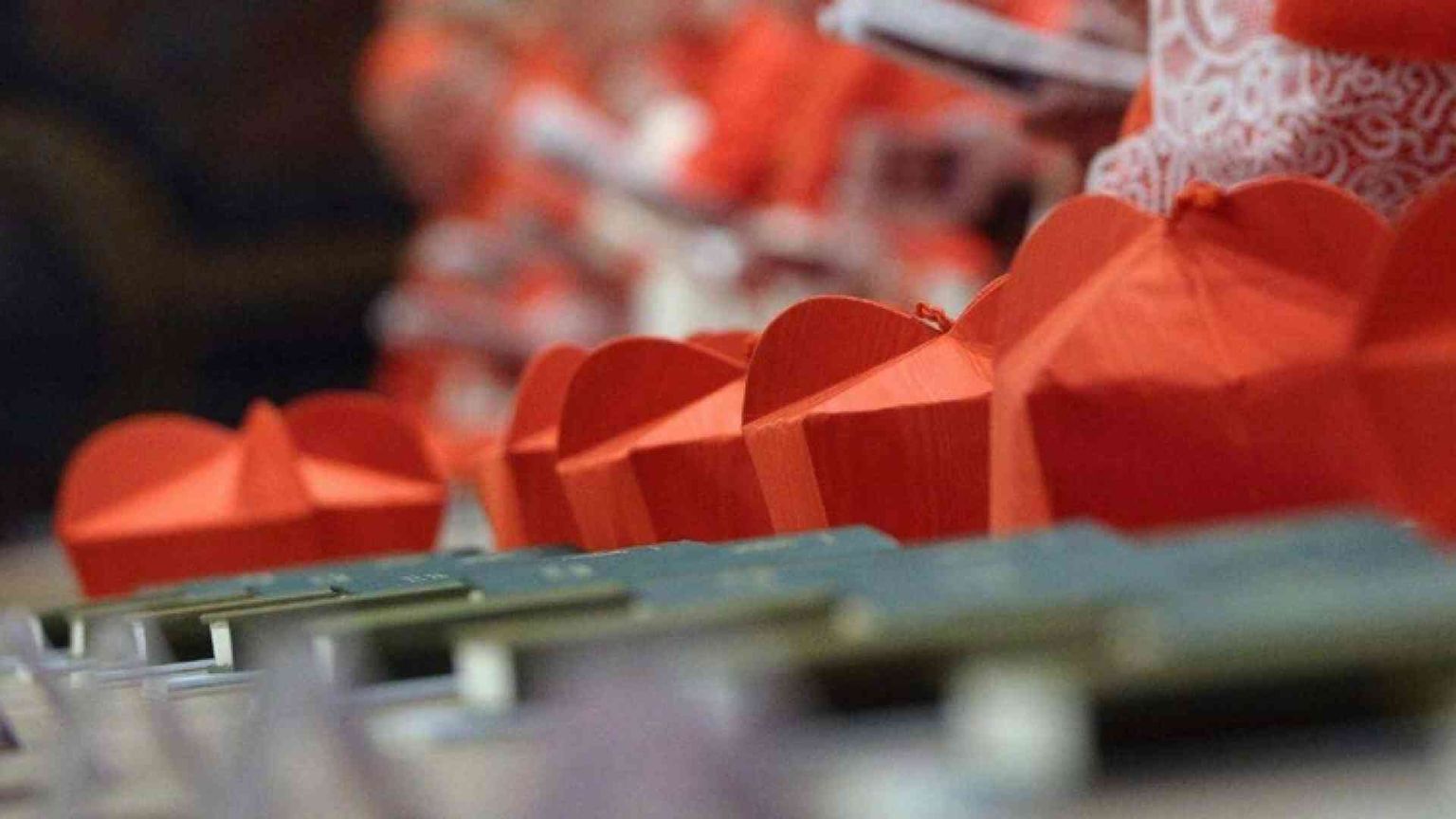 I nuovi cardinali al servizio, in tutta la Terra