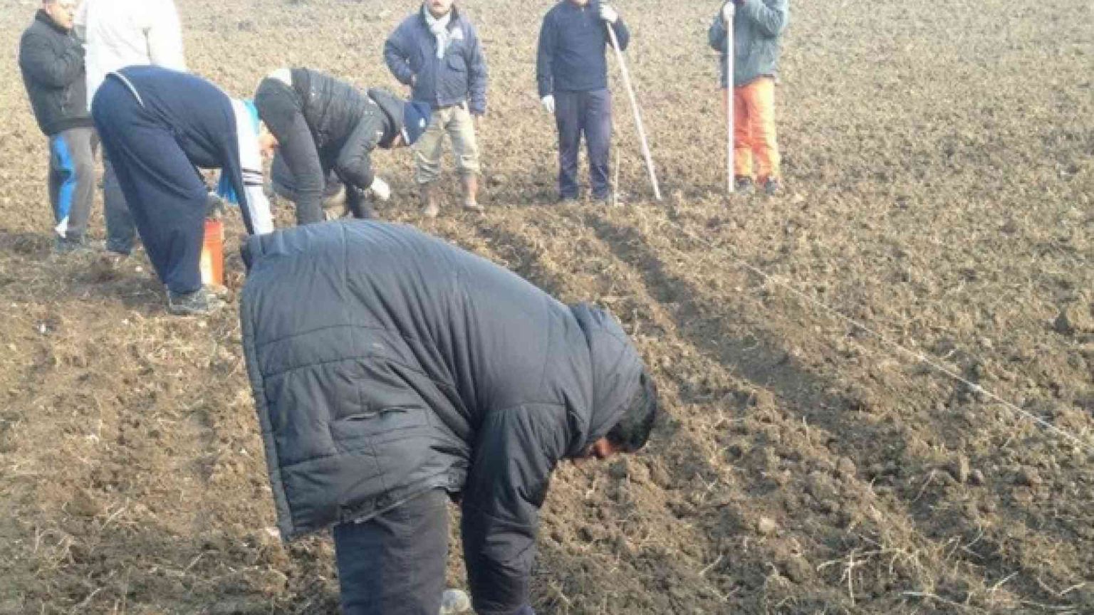 Permesso di soggiorno più facile per chi lavora in agricoltura e turismo