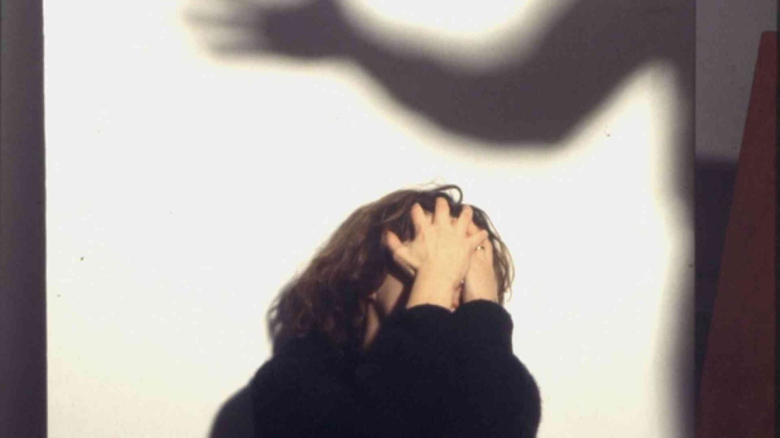 La Giornata contro la violenza sulle donne: a Seveso l'ultimo caso