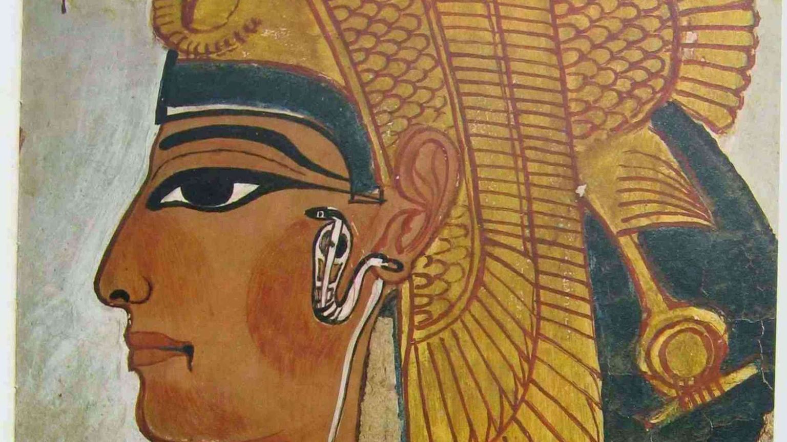 Nefertari, ritrovata la mummia della regina: era al Museo Egizio di Torino