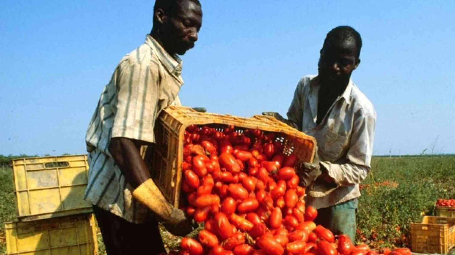 Permesso di soggiorno e lavoratori immigrati