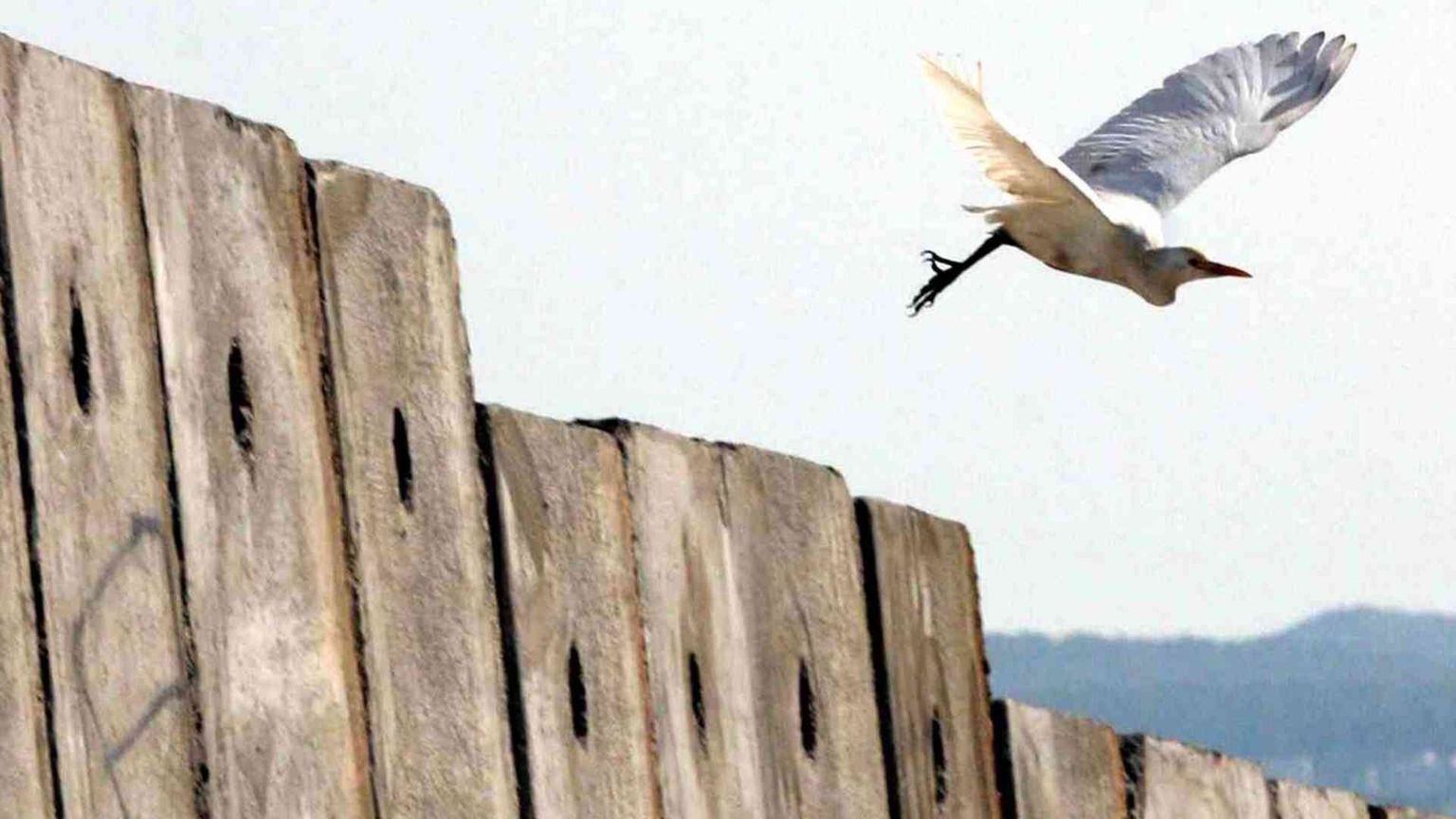 Fatti di non violenza fanno la pace