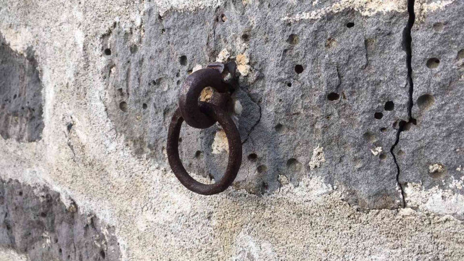 «Che commozione il ritorno alle mie origini»