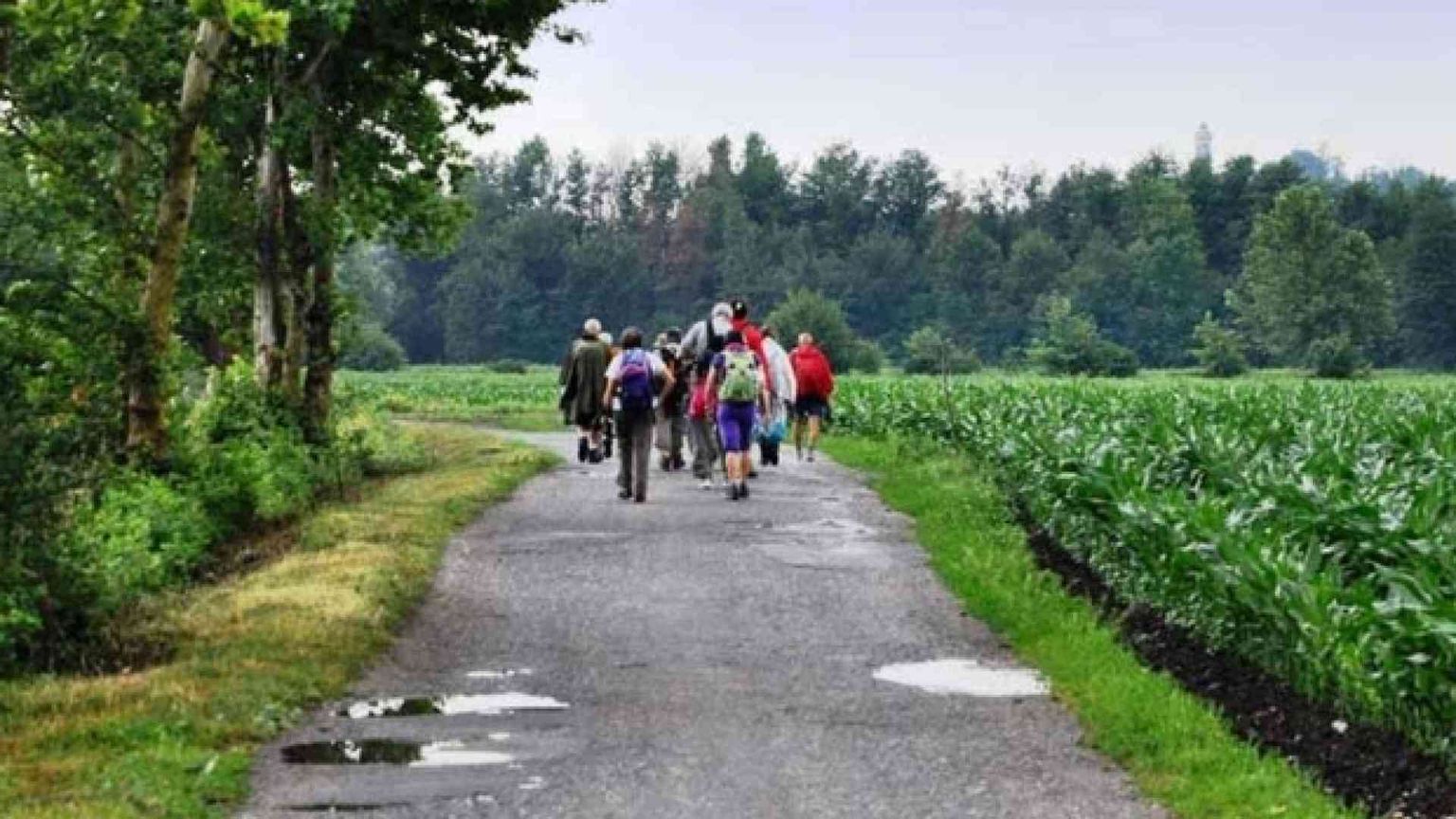 Con il Papa (a piedi) lungo il Cammino di sant'Agostino