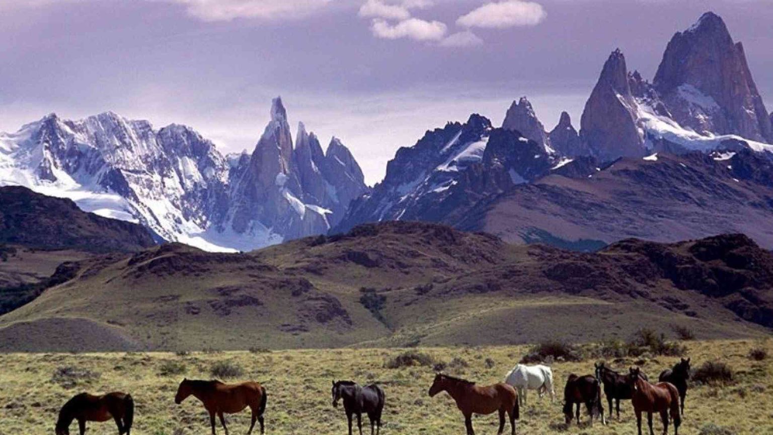 Regala migliaia di ettari di terra per creare un parco naturale in Patagonia