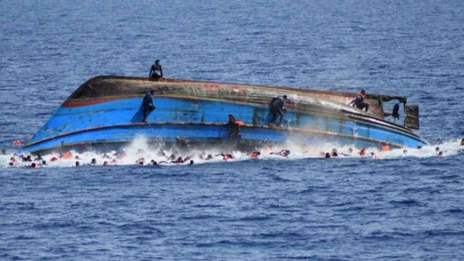 L'impegno delle Ong i vuoti della politica