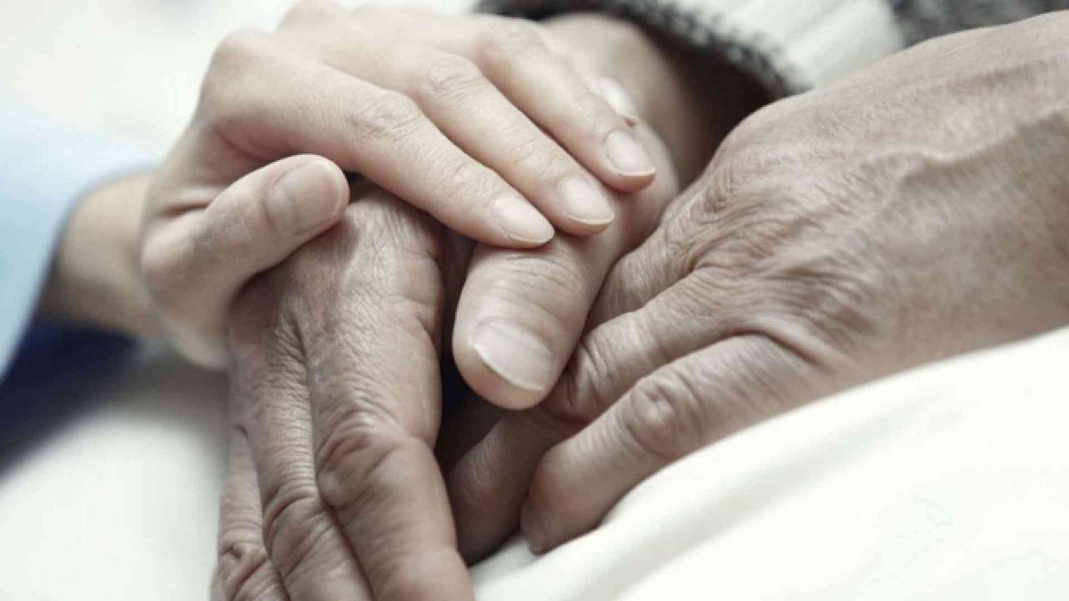 «In Olanda si rispettano tutti i protocolli». Sì, ma di eutanasia ...