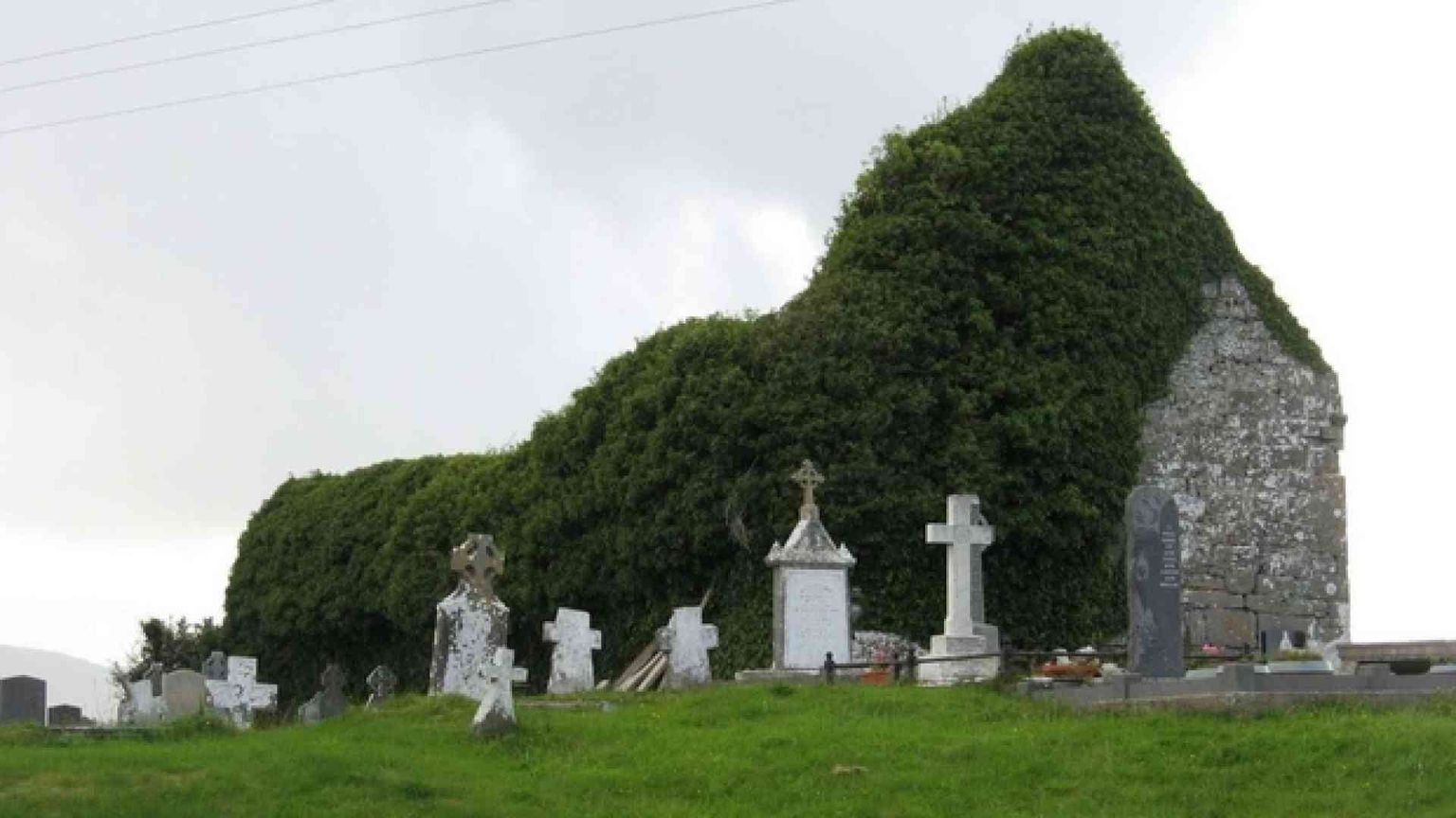 Harpur: «La poesia? Sacra come la preghiera»