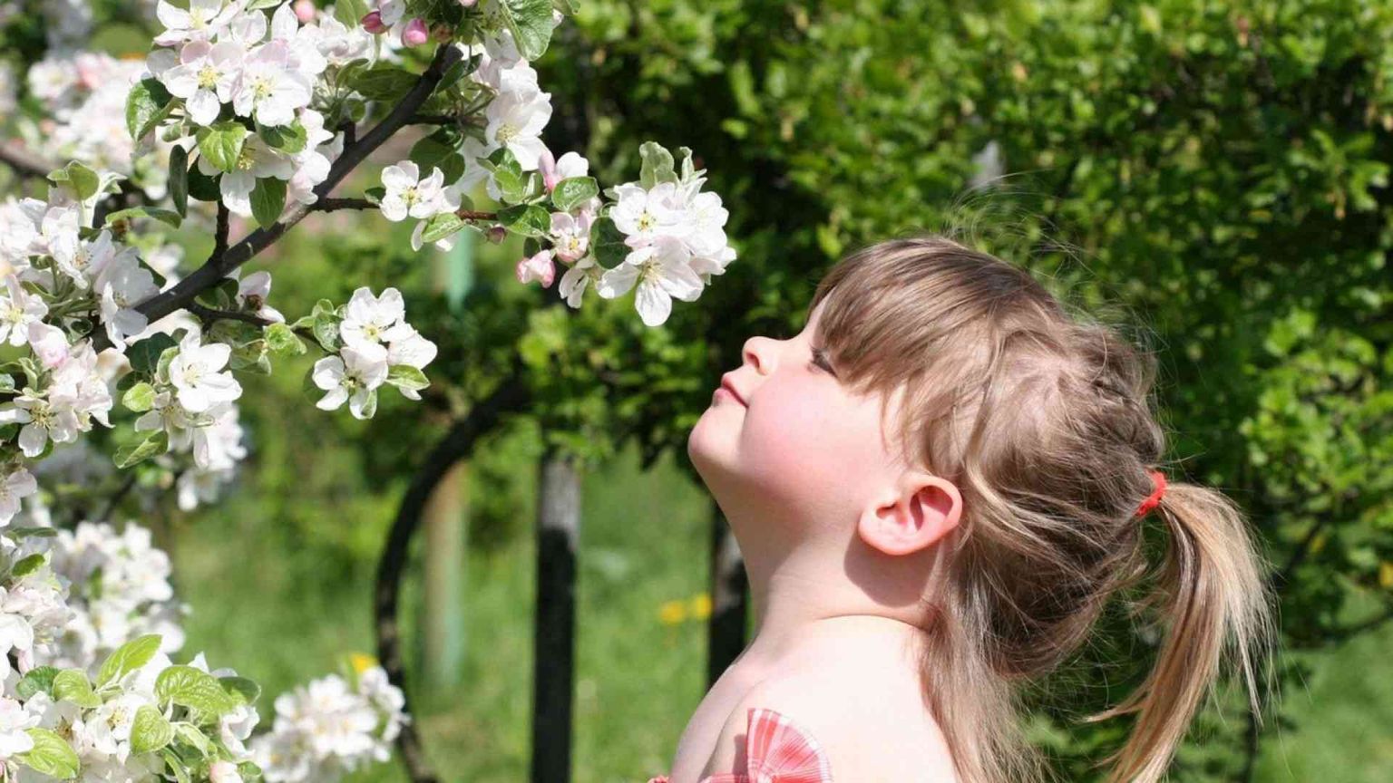 Il Trentino scommette sul turismo per non vedenti