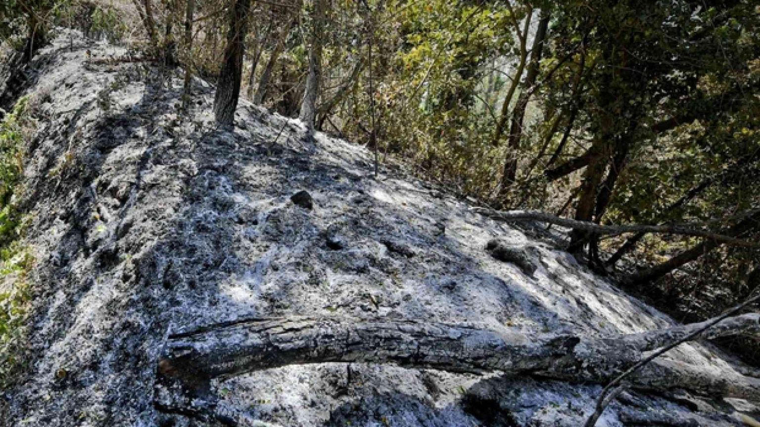 Un Comune su 5 senza il «catasto»