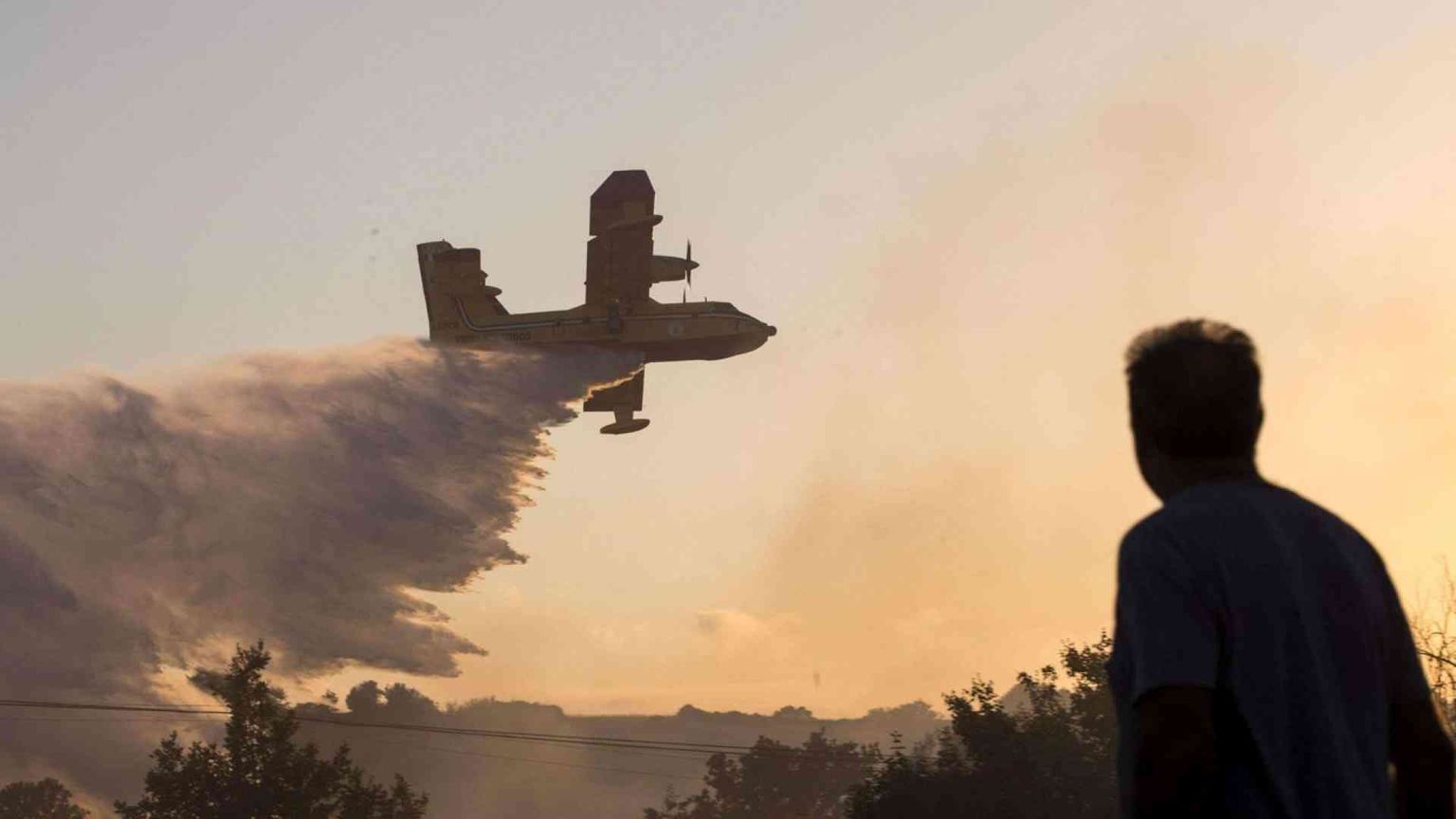 Incendi sul Vesuvio, «calamità criminale»