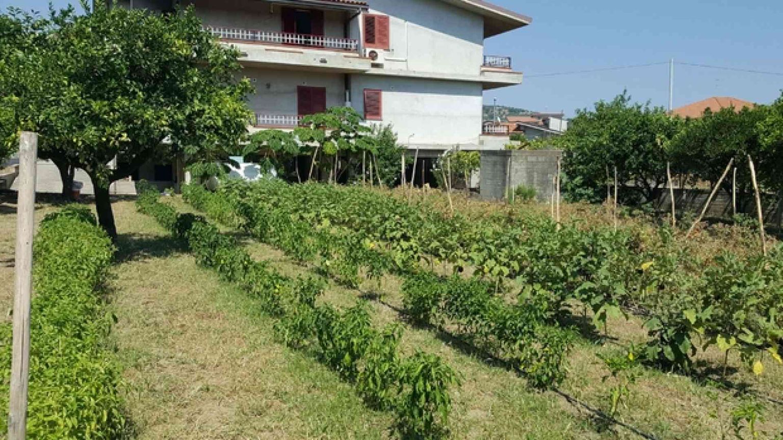 Nella casa del killer i giovani fanno tornare la vita