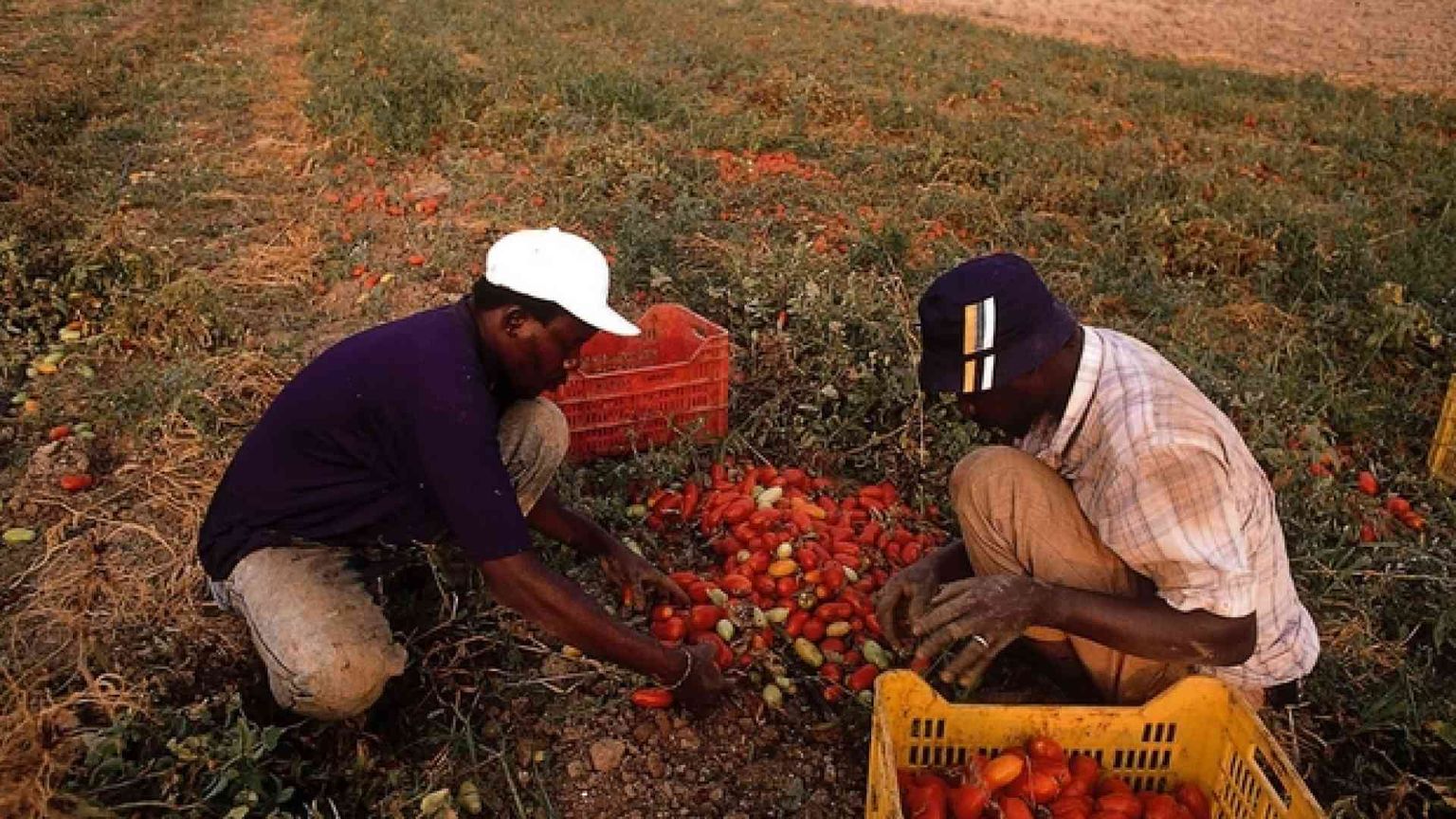Paga in base al colore della pelle: arrestati due caporali