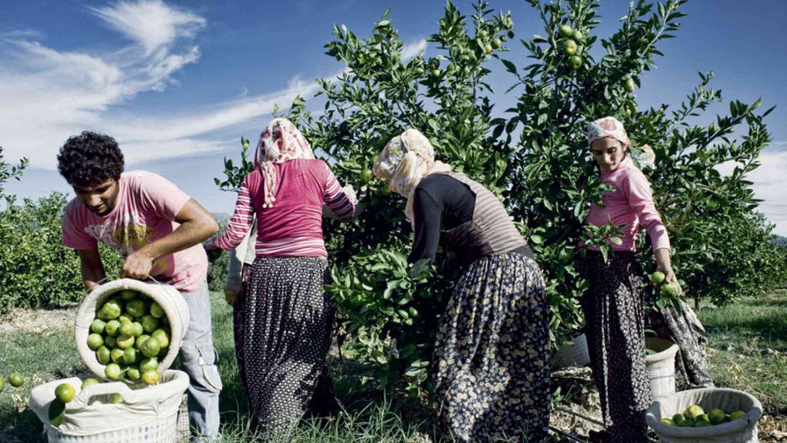 Turchia, niente scuola: nei campi a lavorare