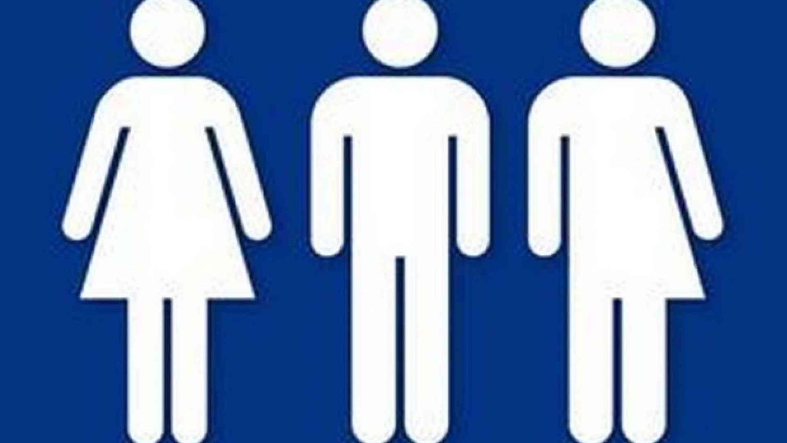 La Corte costituzionale tedesca chiede di riconoscere il «terzo sesso»