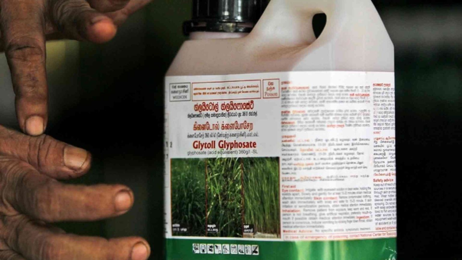 Sul glifosato non c'è accordo in Europa