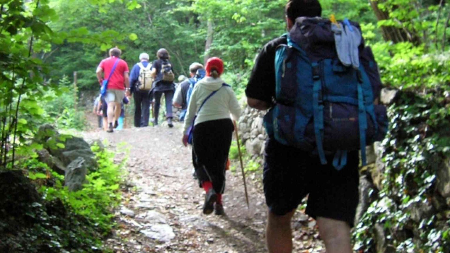 Falabretti: cammino e ascolto: giovani verso il Sinodo