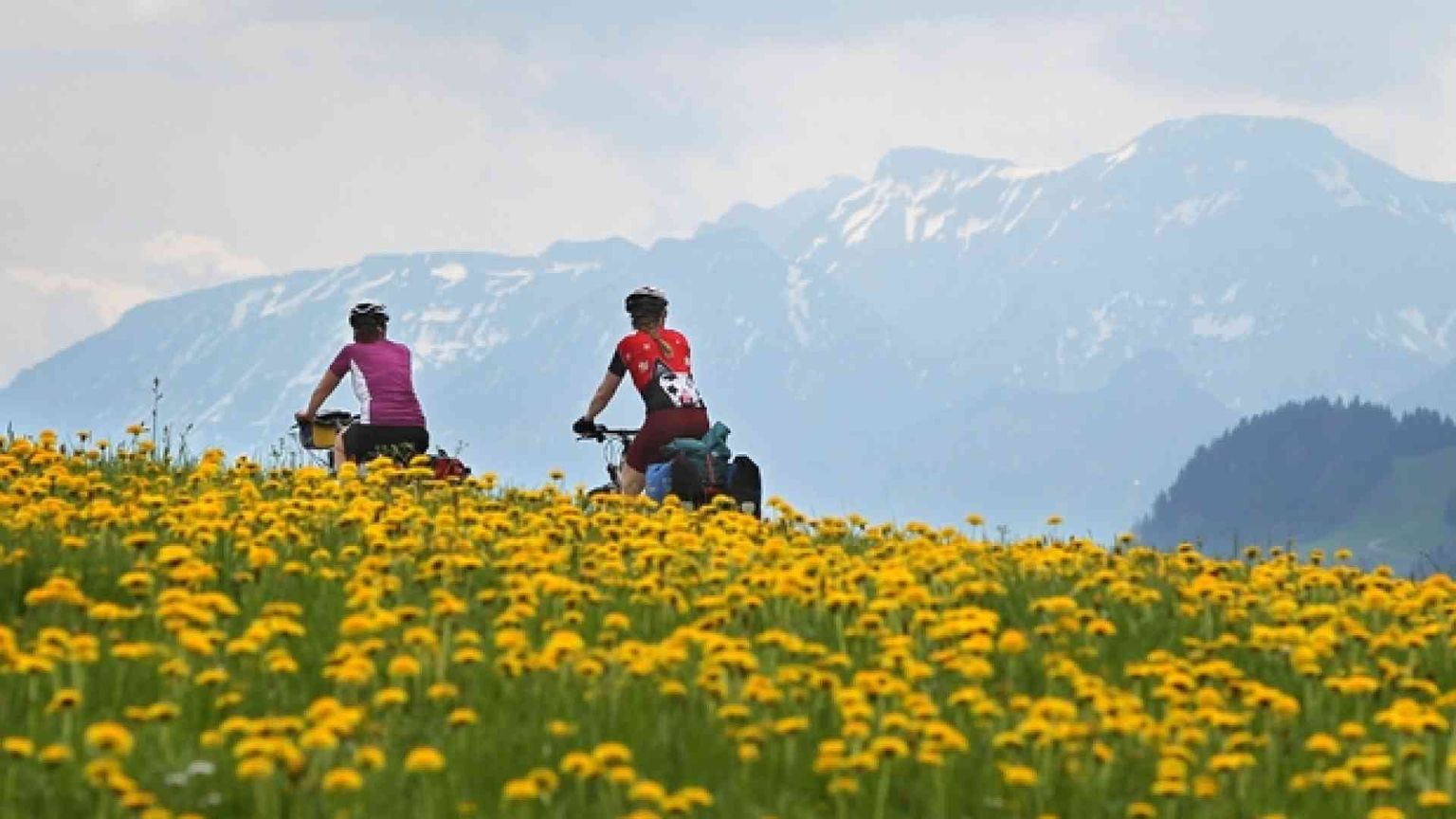 Tutti in bici e... pedalare fa bene anche all'economia